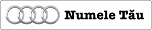 Audi Gri + Nume