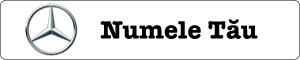 Mercedes + Nume